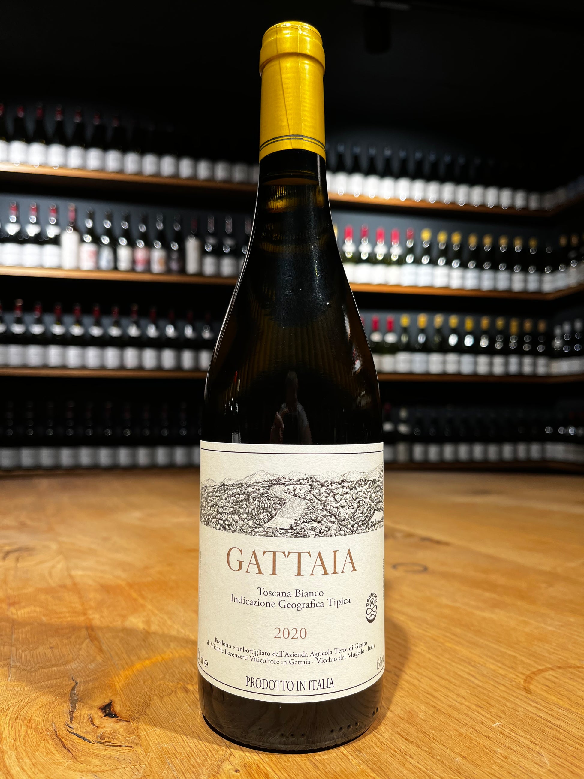 Terre Di Giotto Gattaia Bianco 2020