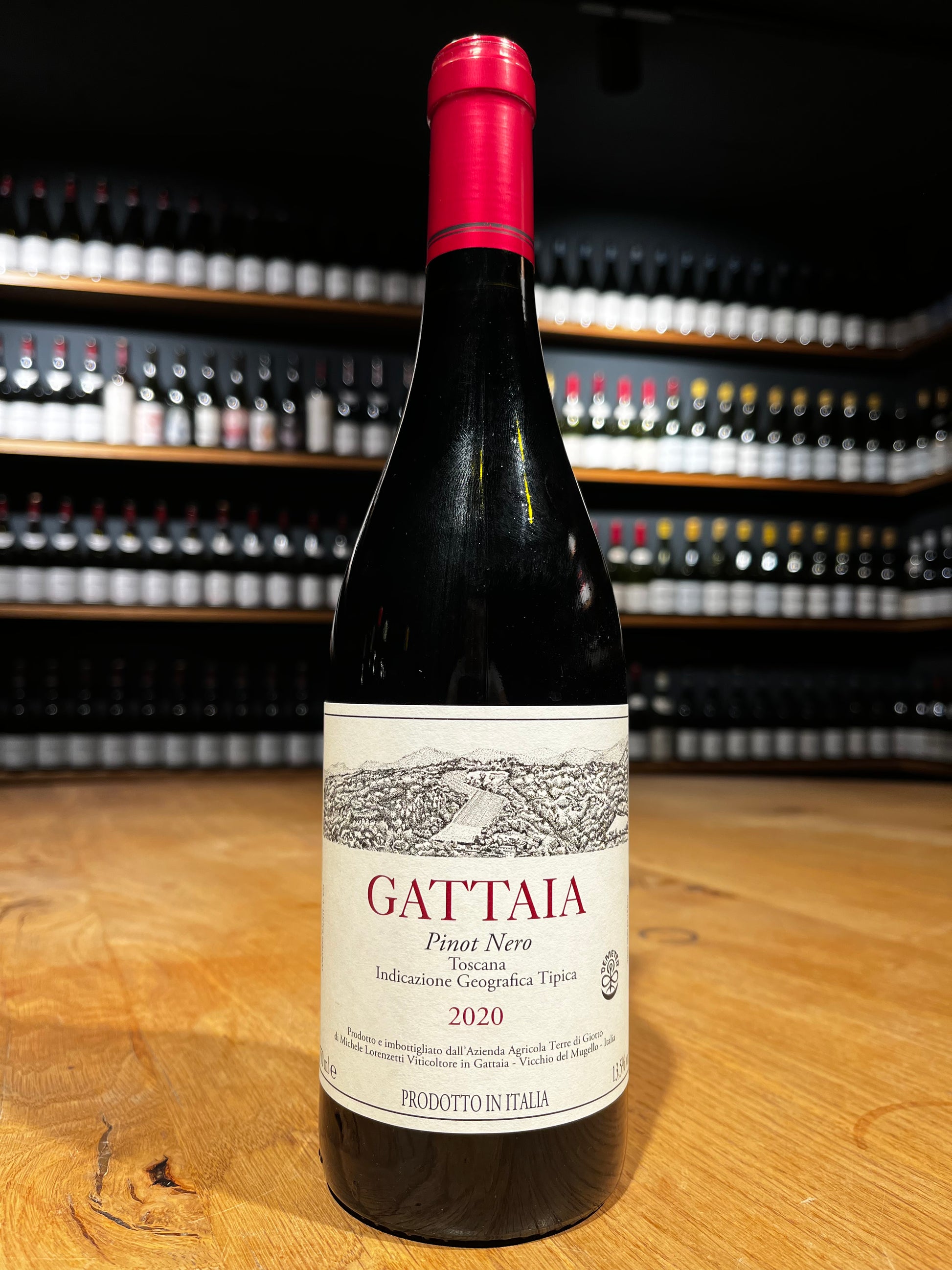Terre Di Giotto Gattaia Pinot Nero 2020