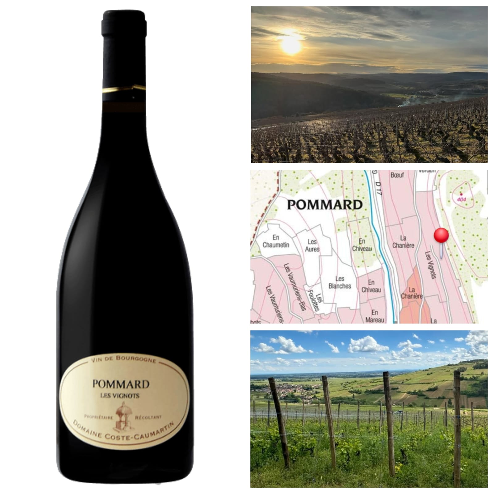 DOMAINE COSTE-CAUMARTIN POMMARD LES VIGNOTS 2023