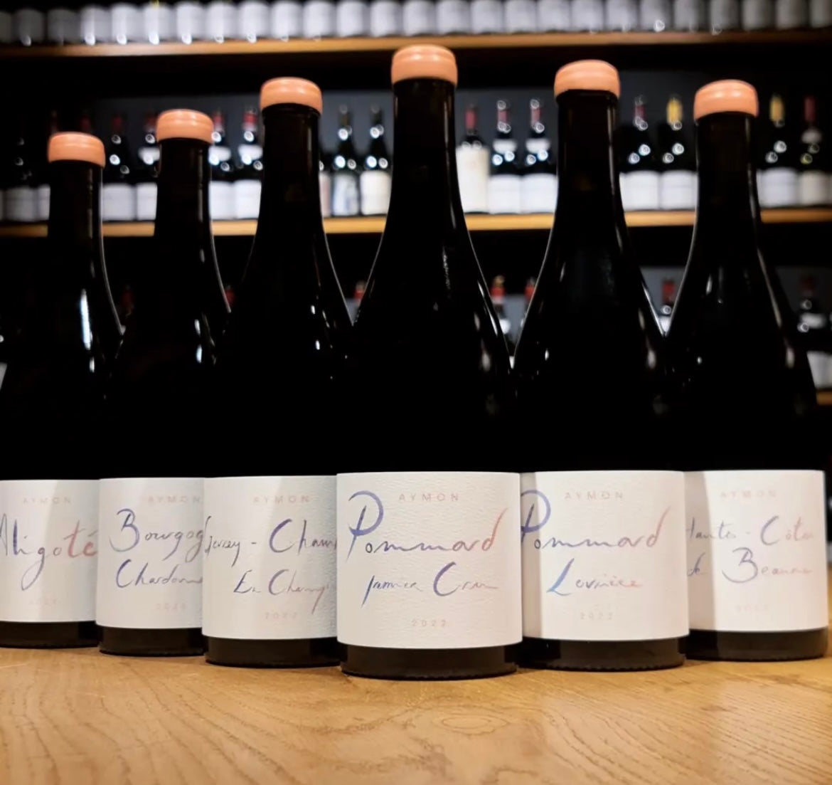 AYMON Pommard 1er Cru 2022 - Freiheit Vinothek
