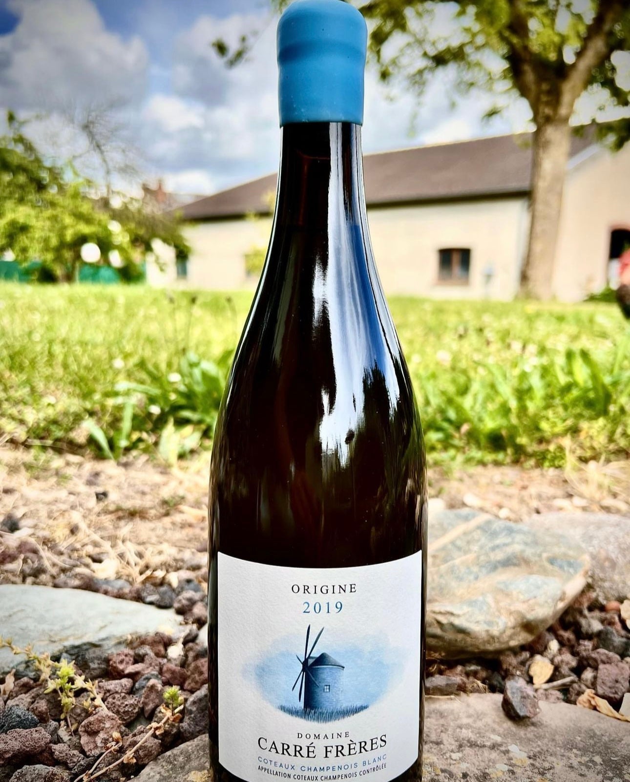 Domaine Carré Frères Origine 2020 - Freiheit Vinothek