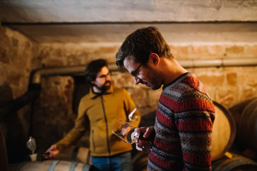Pfalz Weingut Scheuermann x Trinkfest