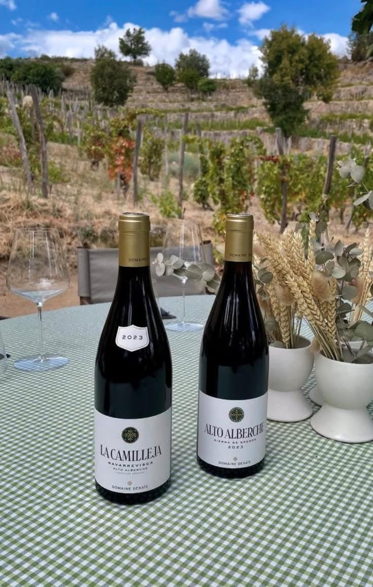 Domaine Dexaïe Alto Alberche 2023