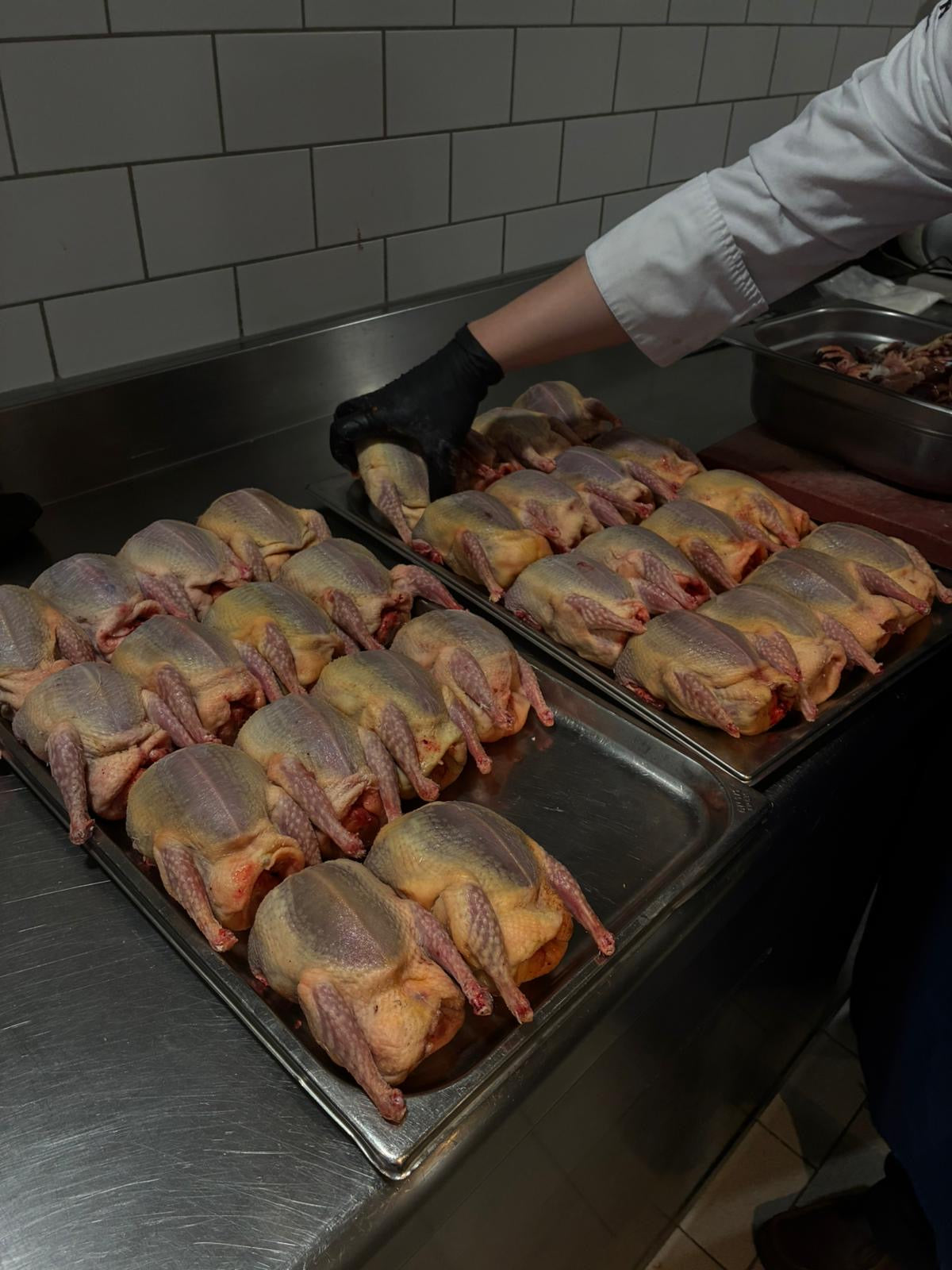 07/08/2026: Young Chefs x Best of Freiheit Vinothek Tasting