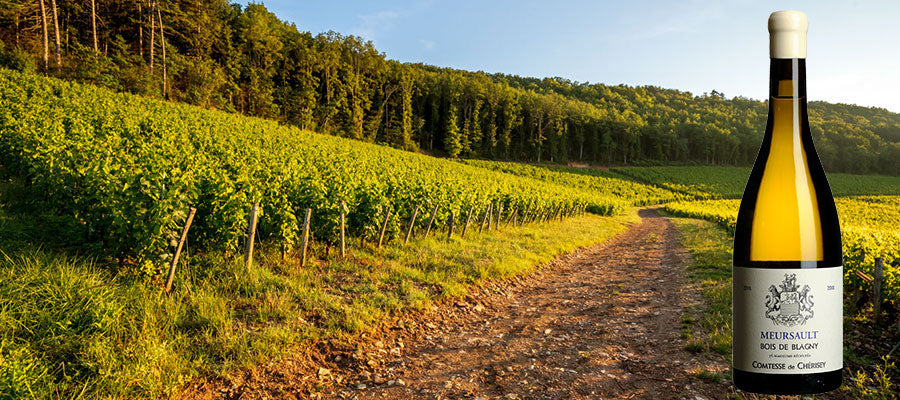 Comtesse de Cherisey Meursault Bois de Blagny 2020