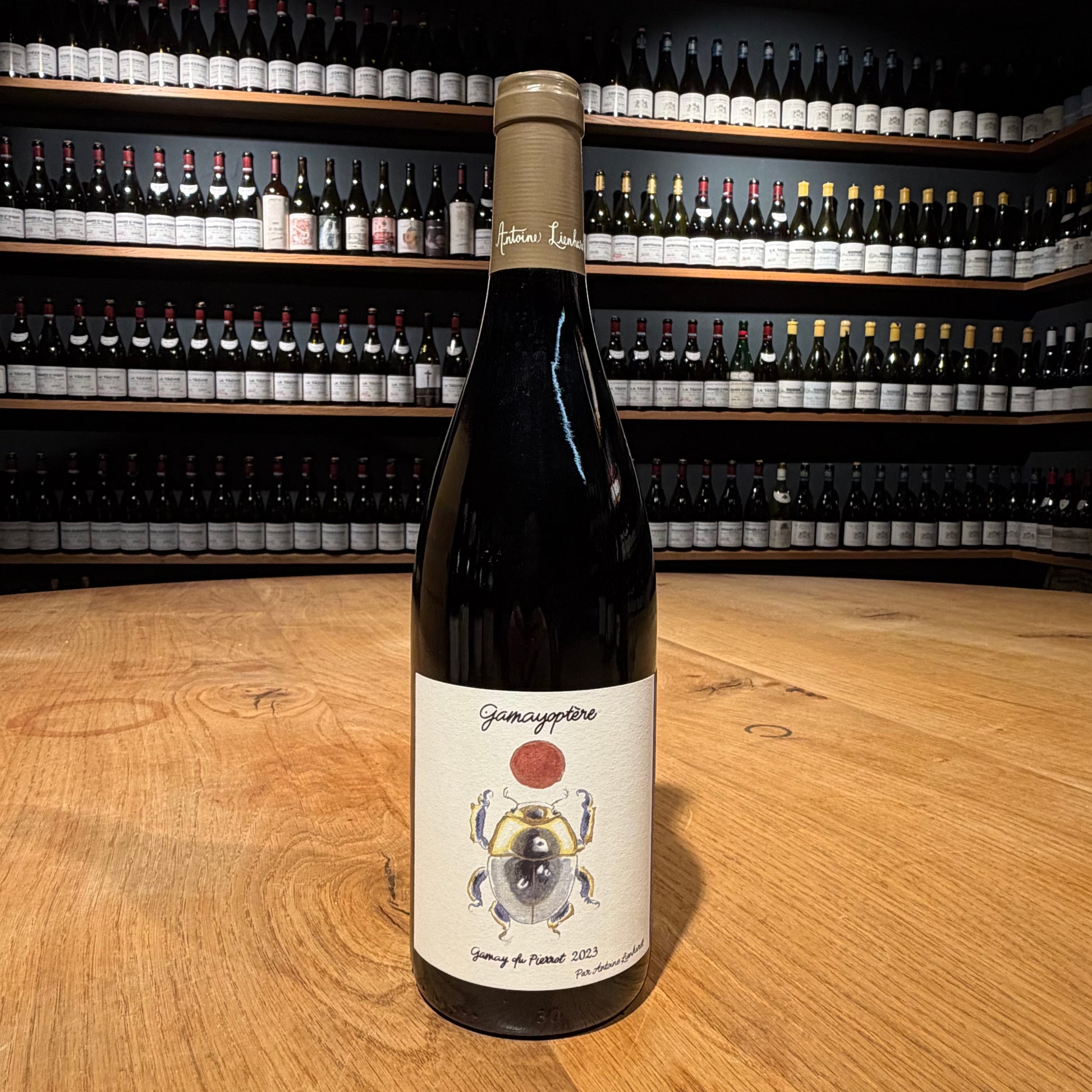 Antoine Lienhardt Gamayoptere 2023