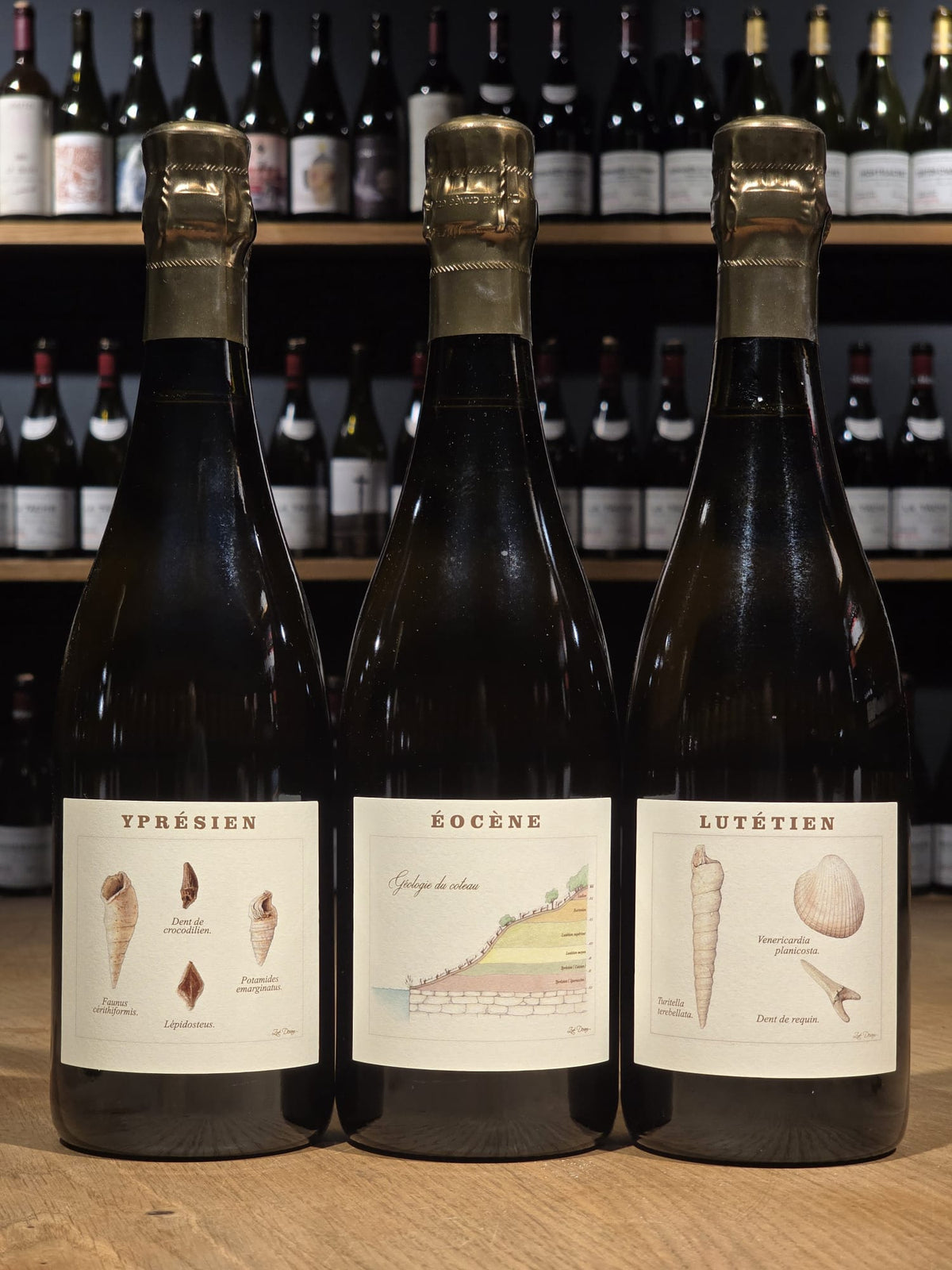 Legrand Latour Jubiläumspaket