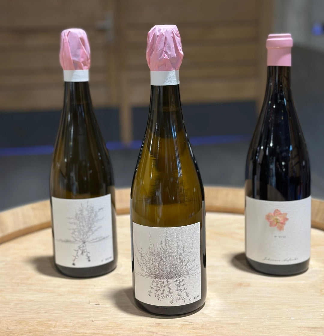 J.Aufricht "Blanc de Blancs Brut Nature" 2021 CV03