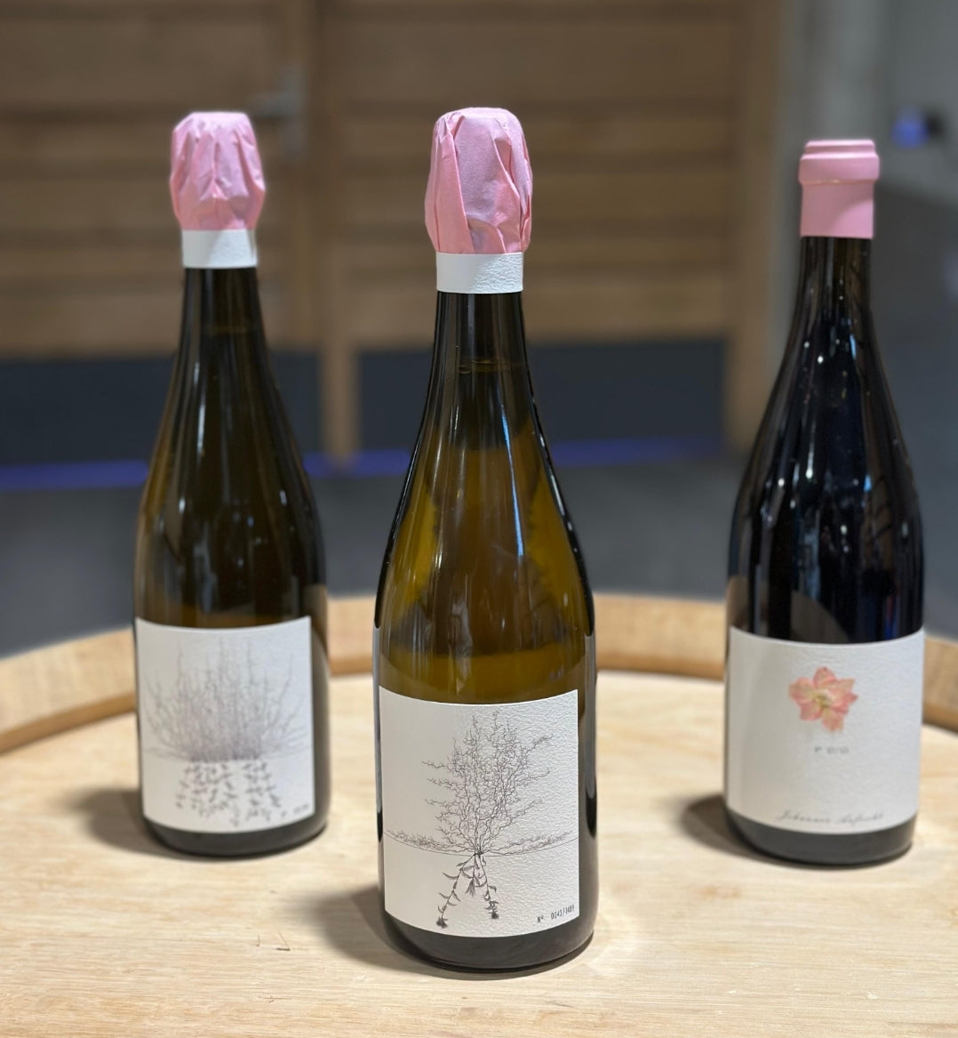J.Aufricht "Blanc de Blancs Brut Nature" 2021 CV04