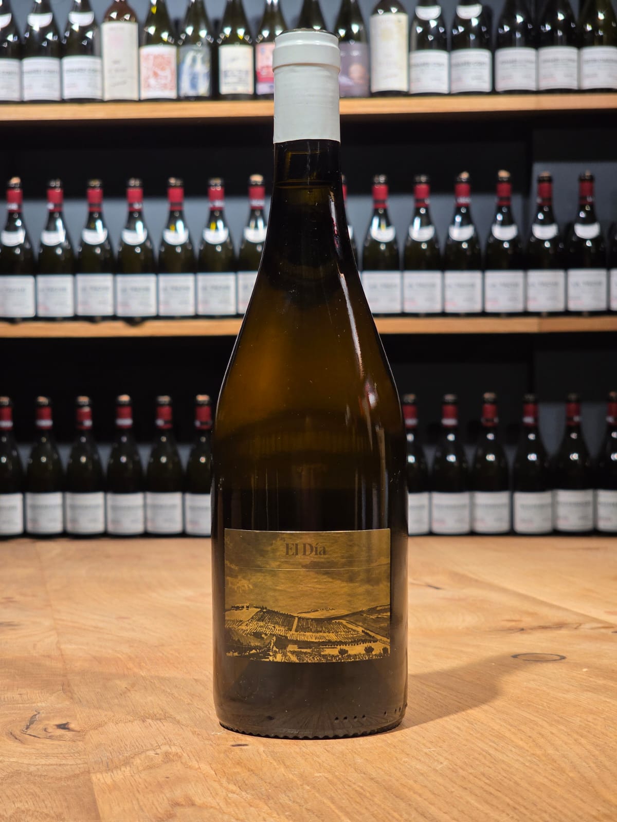 Raúl Moreno EL DÍA 2024