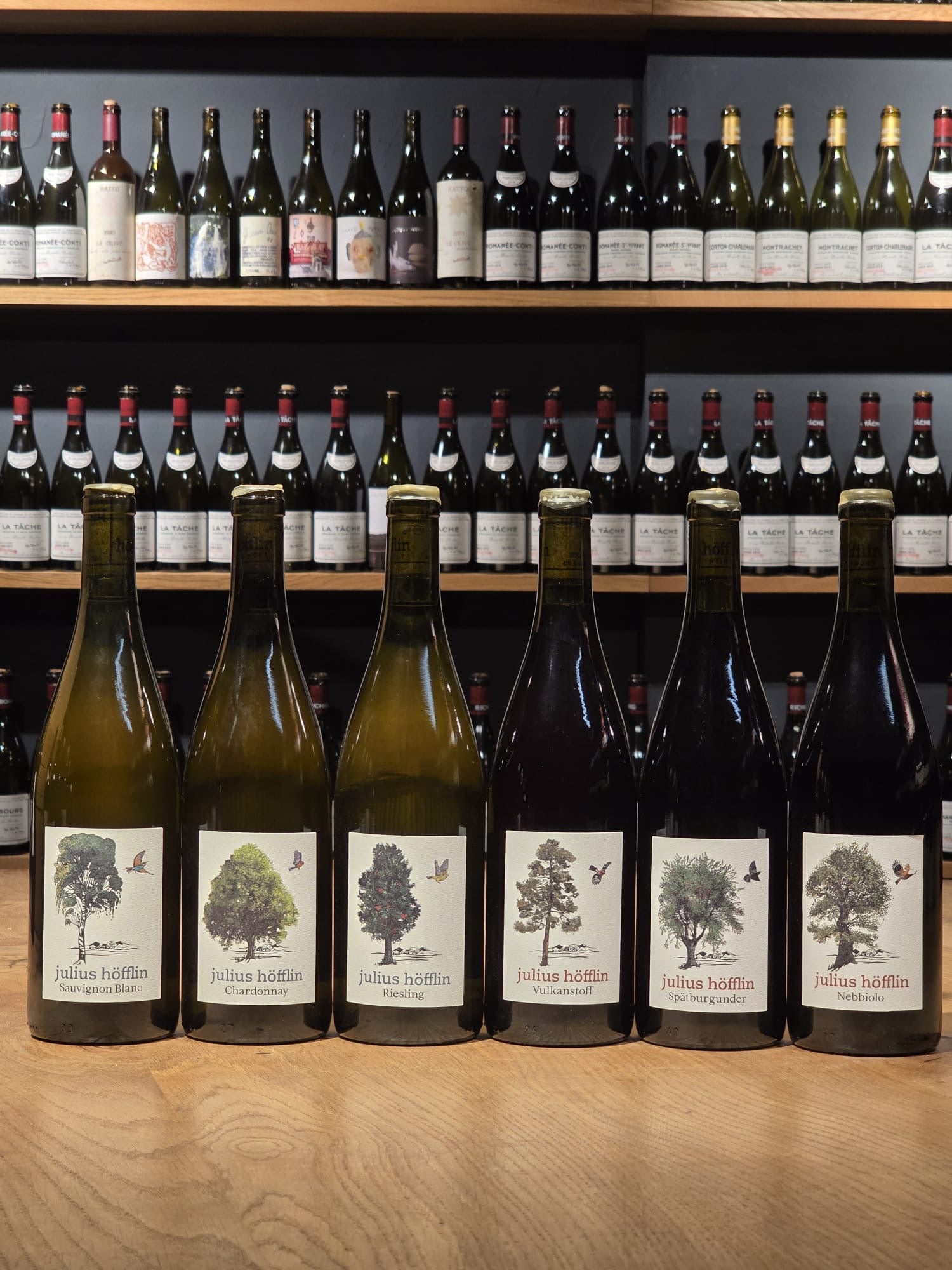 Julius Höfflin Riesling 2023