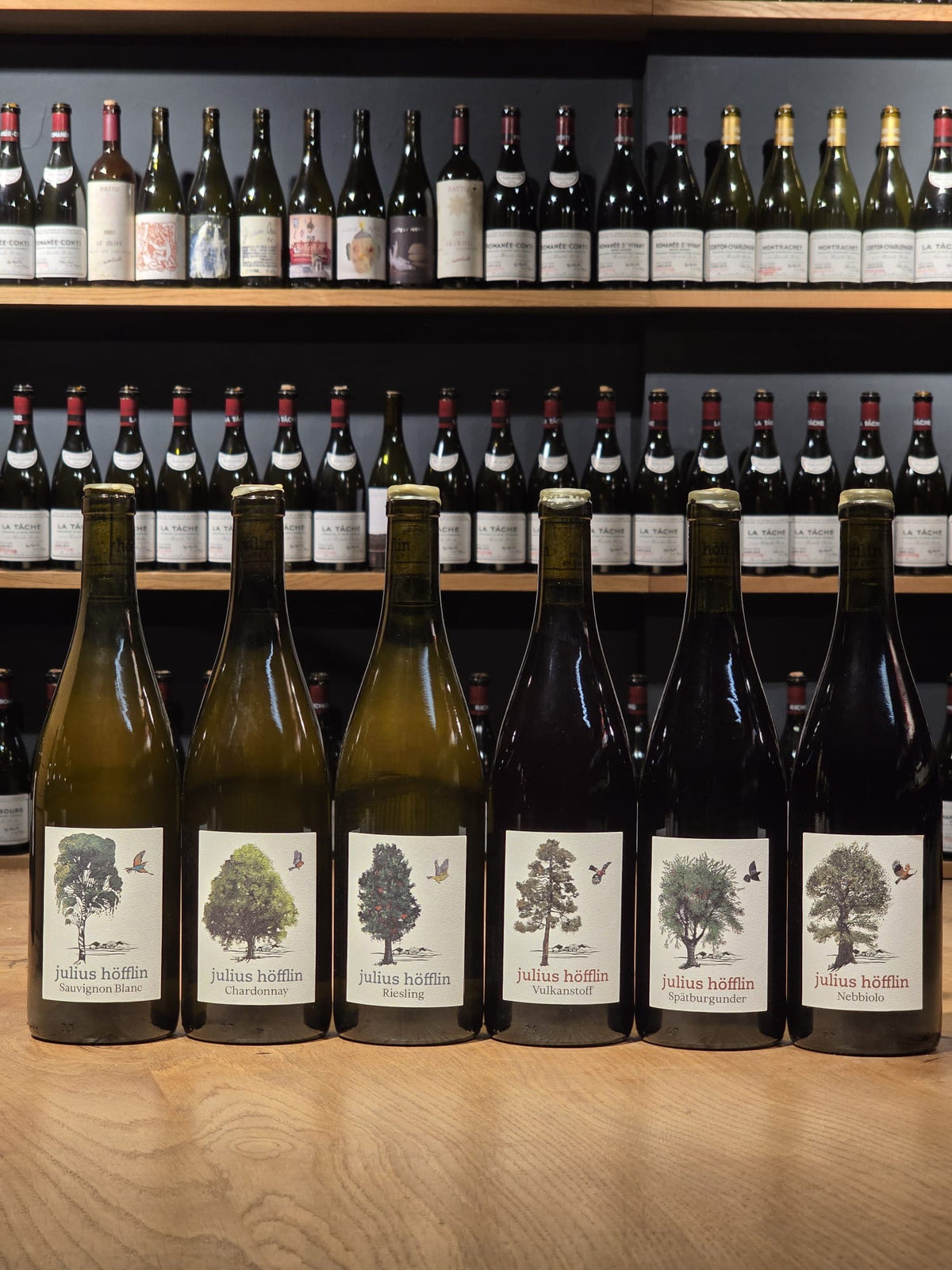 Julius Höfflin Sauvignon 2022
