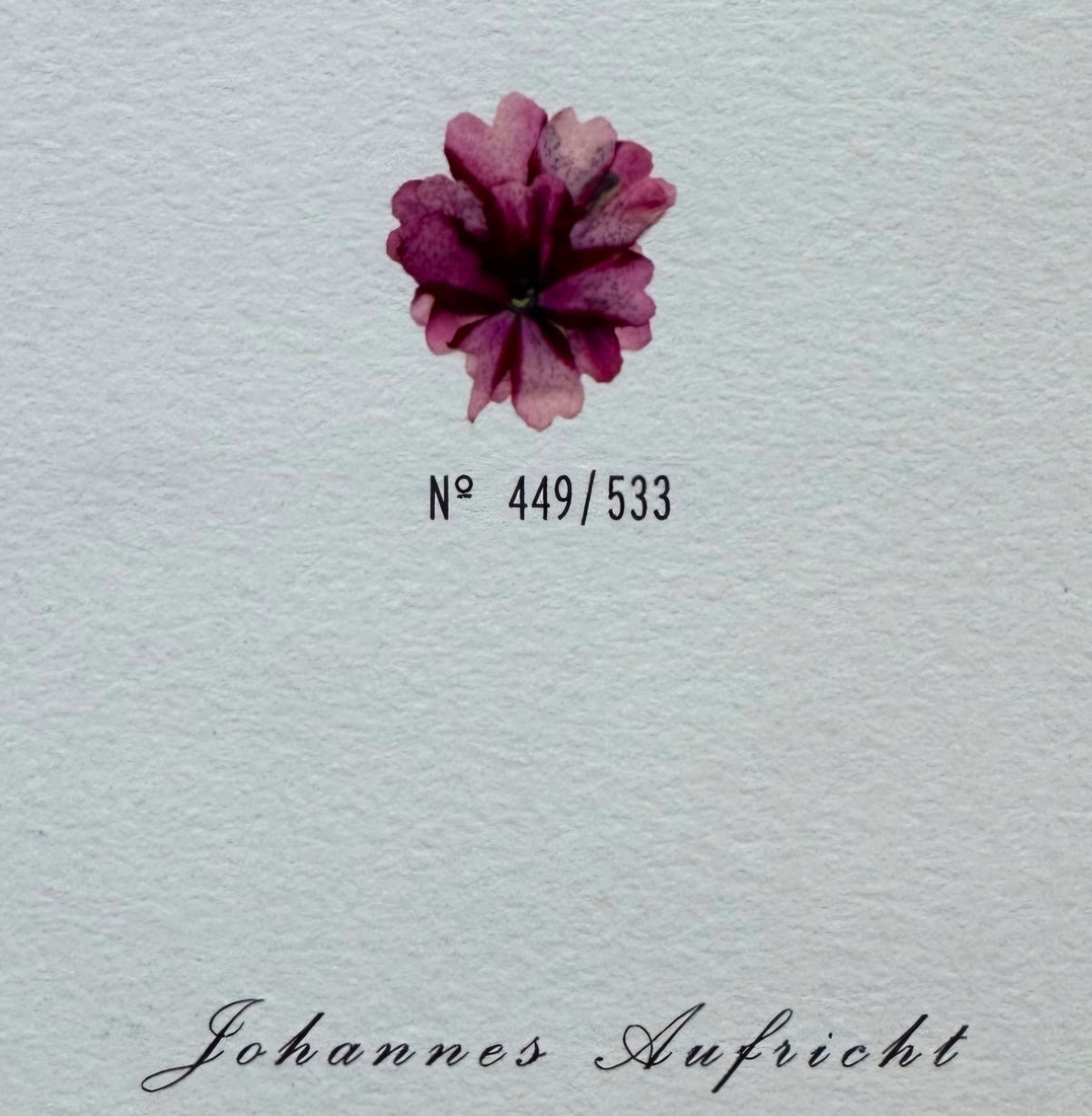 03/04/2027: Johannes Aufricht Daydrinking